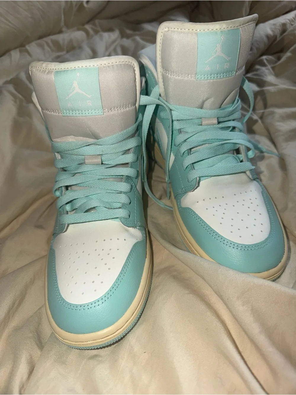 Nike Air Jordan High Top Sneakers in Mint Green & White